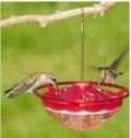 Mini High Perch Hummingbird Feeder